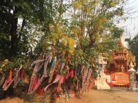 THE 10 BEST Things to Do in Wiang (2026) - Must-See Attractions