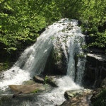 2025년 미국 Eagle Rock 여행정보 - Tripadvisor - Eagle Rock 여행