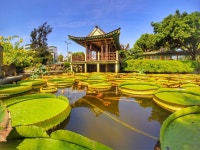 BEST Shilin 놀이공원 - Tripadvisor