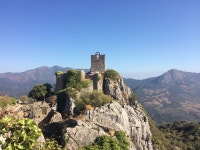 주식회사 가우푸드 | 가우신 푸드 / 와인 투어 BEST 5 - Tripadvisor - 트립어드바이저