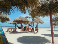 2026년 브라질 Ilha do Marajo 여행정보 - Tripadvisor - Ilha do Marajo 여행