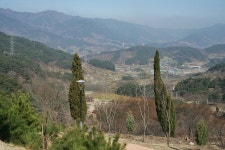 Gurye-gun Religious Sites - Tripadvisor