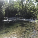 A good surprise - Review of Hotel E Caselle, Venaco, France - Tripadvisor A good surprise  - Review of Hotel E Caselle, Venaco... 