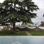 Gorgeous apartment - Review of Villa Calu, Massa Lubrense, Italy - Tripadvisor Gorgeous apartment  - Review of Villa Calu, Massa... 