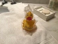 Good Stay - Review of The Colonnade Hotel, Boston, MA - Tripadvisor