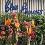 BLUE PHEASANT RESTAURANT, Cupertino - Menu, Prices & Restaurant Reviews - Tripadvisor