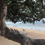 Nice beach resort - Review of Explorar Koh Phangan - Adult Only Resort And Spa, Ban Tai, Thailand - Tripadvisor