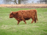 Czarnocin, Poland: All You Must Know Before You Go (2025) - Tripadvisor