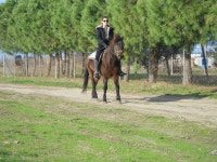 Xanthi Region 소재 목장: Xanthi Region 소재 목장 확인 - 트립어드바이저