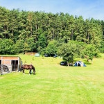 Fantastic family camping trip - Review of Villa Betula Resort, Liptovska Sielnica, Slovakia - Tripadvisor
