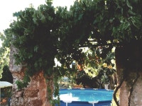 AMAZING - Review of Horta Grande Hostel, Silves, Portugal - Tripadvisor