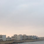 Beyond my expectations - Review of Palm Beach Safari Egypt, Ras Sudar, Egypt - Tripadvisor Beyond my expectations  - Review of... 