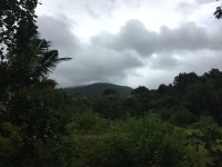 One of the best places to stay.. - Review of Panchavajra Homestay, Kumta, India - Tripadvisor