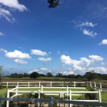 THE 10 BEST Jeju Island Mini Golf (with Photos) - Tripadvisor