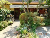 Chef Asayama, 아시야 - 레스토랑 리뷰 - 트립어드바이저