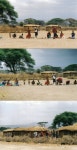 Tsavo National Park West에 숨겨진 보석 같은 최고의 오락거리 | 트립어드바이저