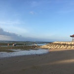 Great for families with kids but ... - Review of Club Med Bali, Nusa Dua, Indonesia - Tripadvisor Great for families with kids... 