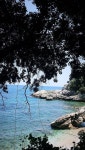 Unforgettable!!! - Review of Vergopoulos Oliveyard, Mouresi, Greece - Tripadvisor