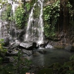 Paradise - Review of Bali Eco Stay Bungalows, Tabanan, Indonesia - Tripadvisor Paradise  - Review of Bali Eco Stay Bungalows... 