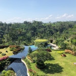 더보타니아 | Great view and swimming pool in the middle of the nature - Review of Padma Resort Ubud, Puhu, Indonesia - Tripadvisor