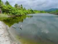 Paradise....Perfect place to unwind & reconnect with nature, self, friends & family. - Review of El Matuy, Palomino, Colombia... 