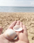 Best vacation I ever had - Review of Hotel Vibra Palma Cactus, Playa de Palma, Spain - Tripadvisor