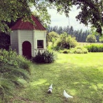 A historic Masterton delight with unrivalled hospitality. - Review of Llandaff Country Retreat B & B, Masterton, New Zealand... 