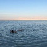 Great value as a hotel, poor as a hostel - Review of Hi Ein Gedi Hostel, Ein Gedi, Israel - Tripadvisor