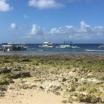 Good location and great pool and beach for snorkel - Review of Pescadores Suites Moalboal, Moalboal, Philippines - Tripadvisor