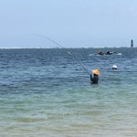 Best in Sanur - Review of Maya Sanur Resort & Spa, Sanur, Indonesia - Tripadvisor