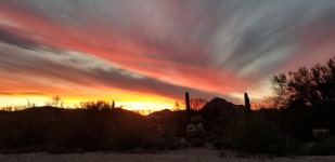 Nature abounds, the folks are friendly, and the price is right! - Review of Justins Diamond J RV Park, Tucson, AZ - Tripadvisor