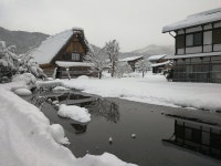 Beautiful place to stay in an ancient Village! - Review of Kidoya, Shirakawa-mura, Japan - Tripadvisor