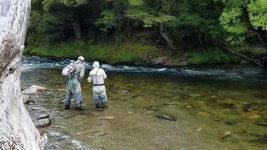 Trip of a Lifetime - Review of Stonefly Lodge, Motueka, New Zealand - Tripadvisor
