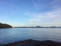 Dugongs, diving and an amazing host - Review of Vickys Guesthouse, San Jose, Philippines - Tripadvisor