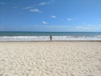 Paradise is an understatement. - Review of JOIA Paraiso by Iberostar, Playa Paraiso, Mexico - Tripadvisor