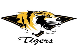 2025 Desert Safari with Dune Bashing, Camel Ride & BBQ Dinner (Dubai) - with Trusted Reviews