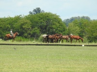 Peaceful and luxurious end to a 6 week trip - Review of Estancia La Sofia, San Antonio de Areco, Argentina - Tripadvisor