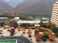 - 대명 리조트 단양, 단양, 대한민국의 리뷰 - 트립어드바이저 가성비 좋은!  - 대명 리조트 단양, 단양, 대한민국의 리뷰 - 트립어드바이저