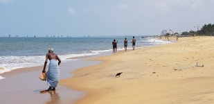Great place to start your holiday - Review of Angel Inn Guest House, Negombo, Sri Lanka - Tripadvisor