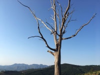 Blissful retreat overlooking Letaba mountains - Review of Kings Walden Garden Manor, Tzaneen, South Africa - Tripadvisor