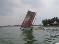 Wonderful time!!! - Review of Club Hotel Dolphin, Kammala, Sri Lanka - Tripadvisor