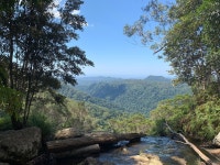 Amazing EVERYTIME - Review of Springbrook Lyrebird Retreat, Springbrook, Australia - Tripadvisor