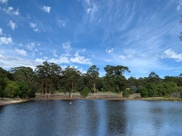 A great first farm stay experience - Review of Diamond Forest Farm Stay, Pemberton, Australia - Tripadvisor
