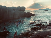 BEST LUnion 크루즈 / 수상스포츠 - Tripadvisor