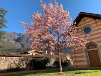 Mattarello 관광안내소 BEST 10 - Tripadvisor - 트립어드바이저