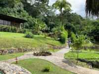 Great Place to Visit - Review of Kuyana Amazon Lodge, Archidona, Ecuador - Tripadvisor