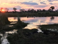 Incredibly fantastic - Review of Sable Alley, Moremi Game Reserve, Botswana - Tripadvisor