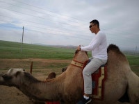 테렐지 국립공원에서 즐길 수 있는 저렴한 최고의 오락거리 | 트립어드바이저