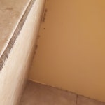 The WORST!!!! - Review of Hotel Rose Garden, San Jose, CA - Tripadvisor