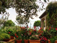 Coziest place in the world - Review of Relais Pian Delle Starze, Marina di Camerota, Italy - Tripadvisor
